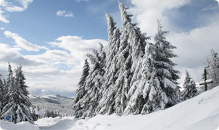 Skifahren am Gaberl